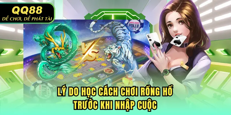 Lý do học cách chơi Rồng Hổ trước khi nhập cuộc
