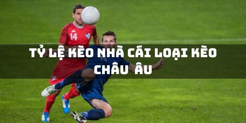 Tham khảo cách tính kèo châu Âu khi lụm lúa tại nhà cái