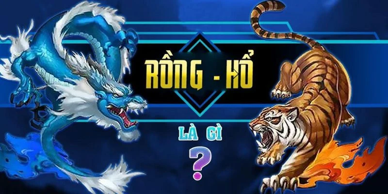 Rồng hổ là gì? Tìm hiểu tại QQ88